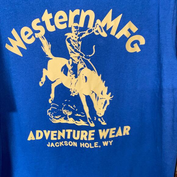 NWT Old Navy Blue Plane View Graphic Western MFG Jackson Hole WY Tee XXL Tall - Picture 3 of 6